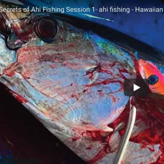 Secrets of the Ali'i Blue Frost , Lure Colors and Codes - Ahi