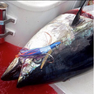 6 Lures for catching Ahi