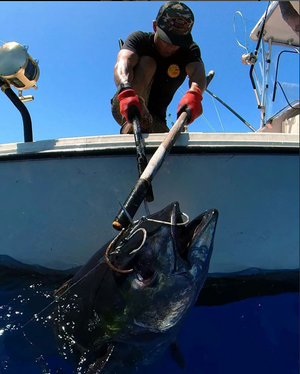 Sick Summer Ahi Bite