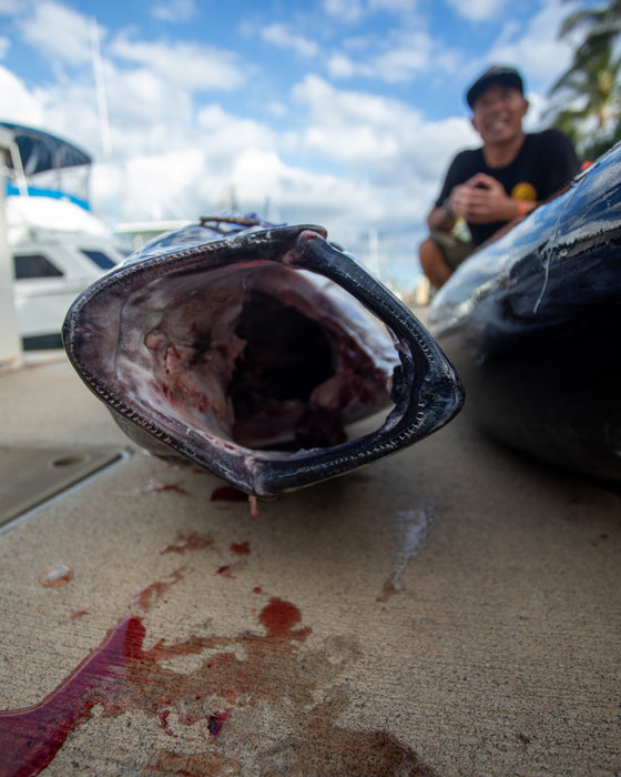 When to Use Which Ahi Lure: A Hawaii Seasonal Guide
