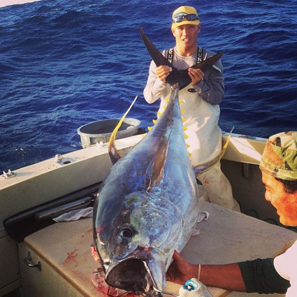 What's been happening in 2014?