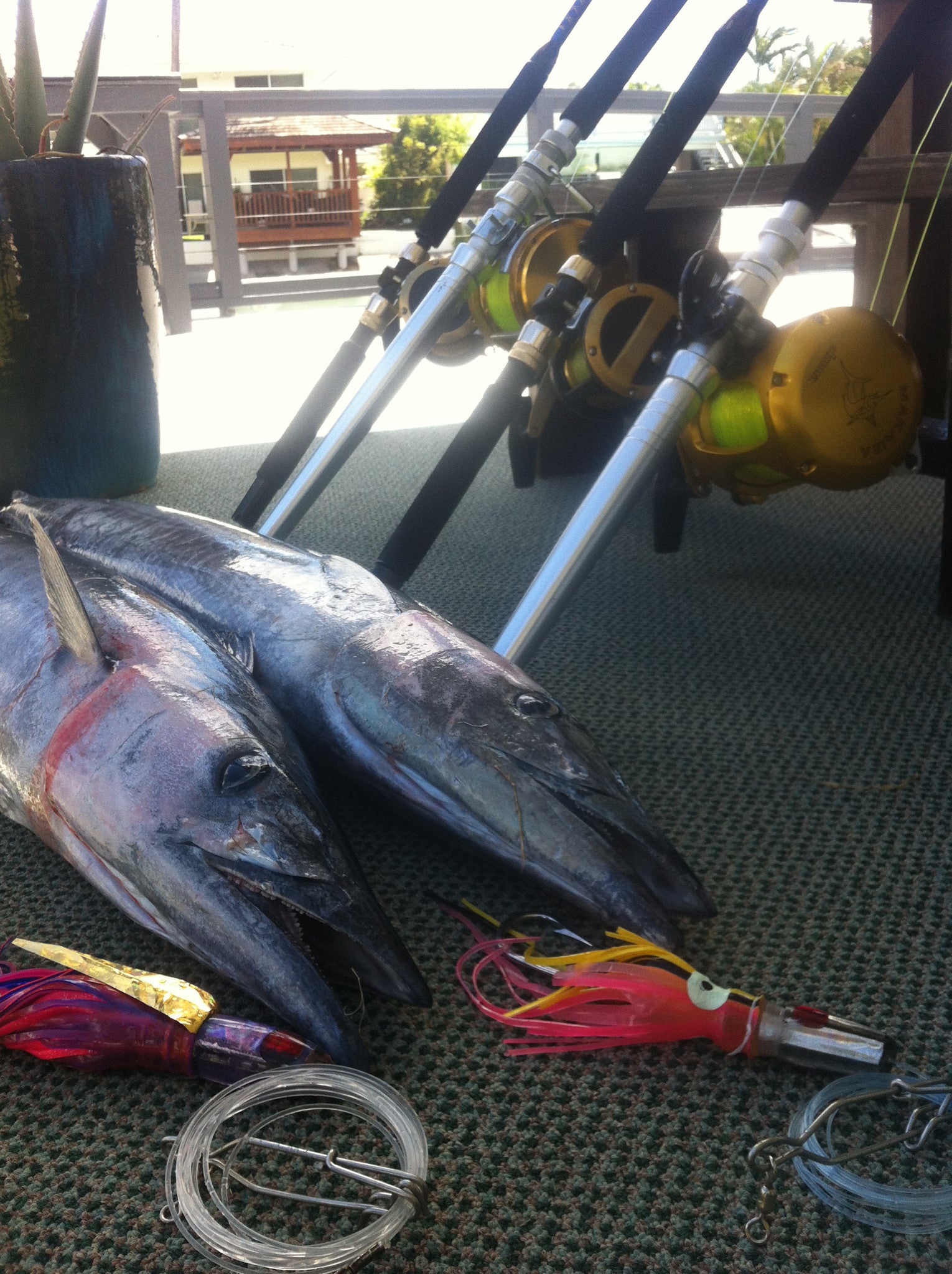 Ahi Fishing: February 2016