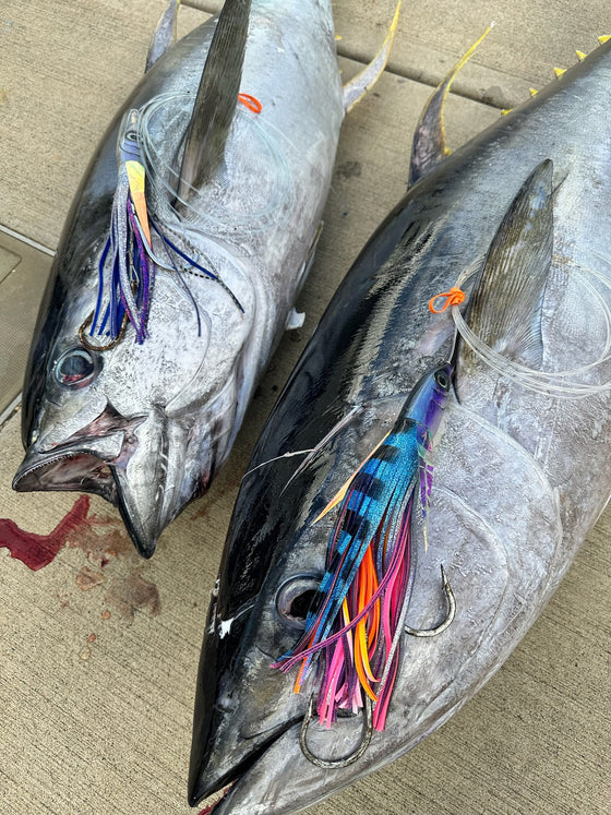 Two ahi on deck with Tsutomu trolling lures