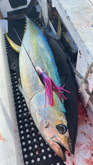 9" Moke Heavy: Kaiwi Firecracker