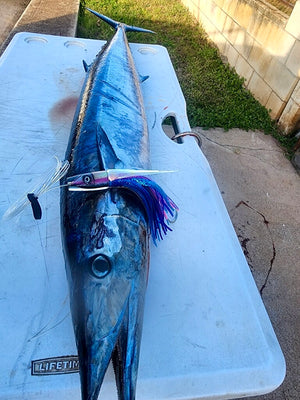 LImited Restock!  7" Ali'i Fish Series: Electric Nehu