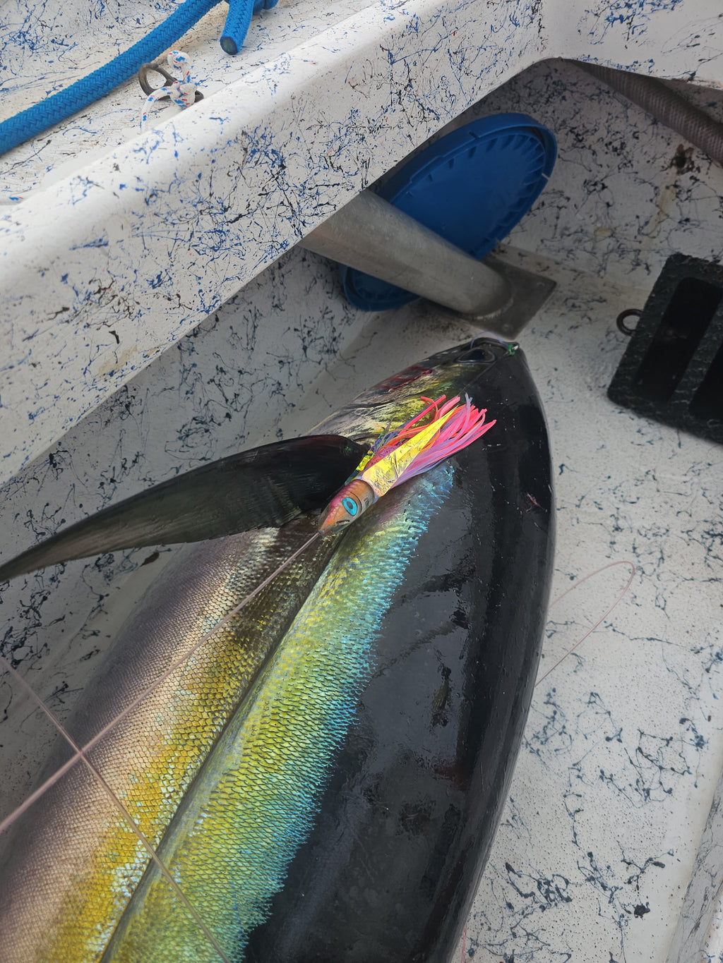 6” Poke Series: Da Amaebi - Tsutomu Lures