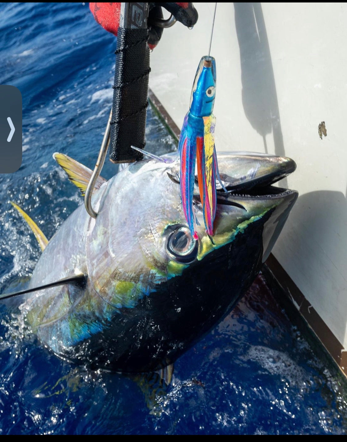 best lures to fish blue mesa BEST SELLER! 6” Poke: Ice Blue