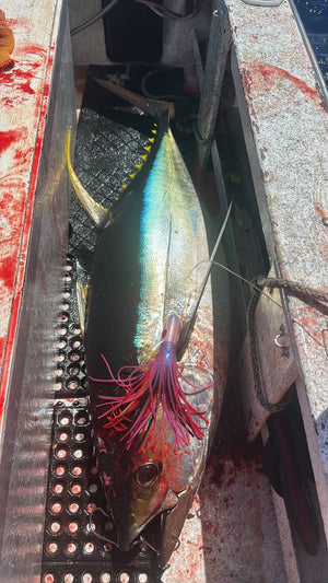 9" Moke Heavy: Kaiwi Firecracker