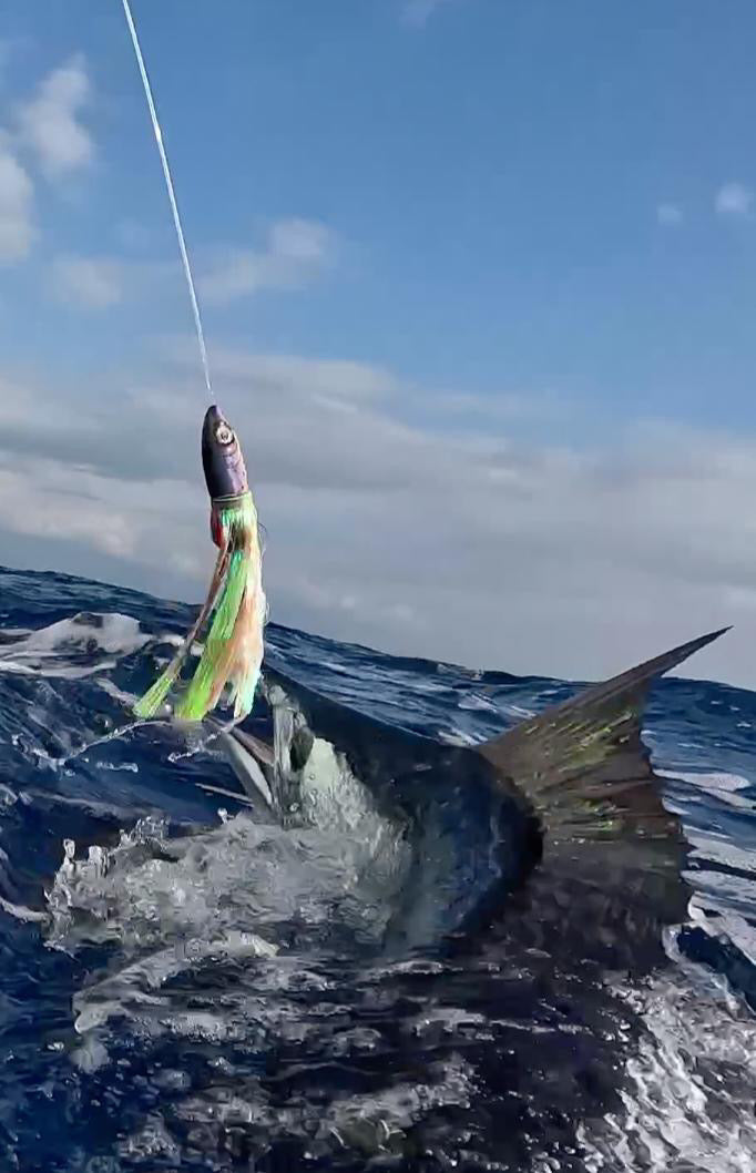 dragon fishing lure 9