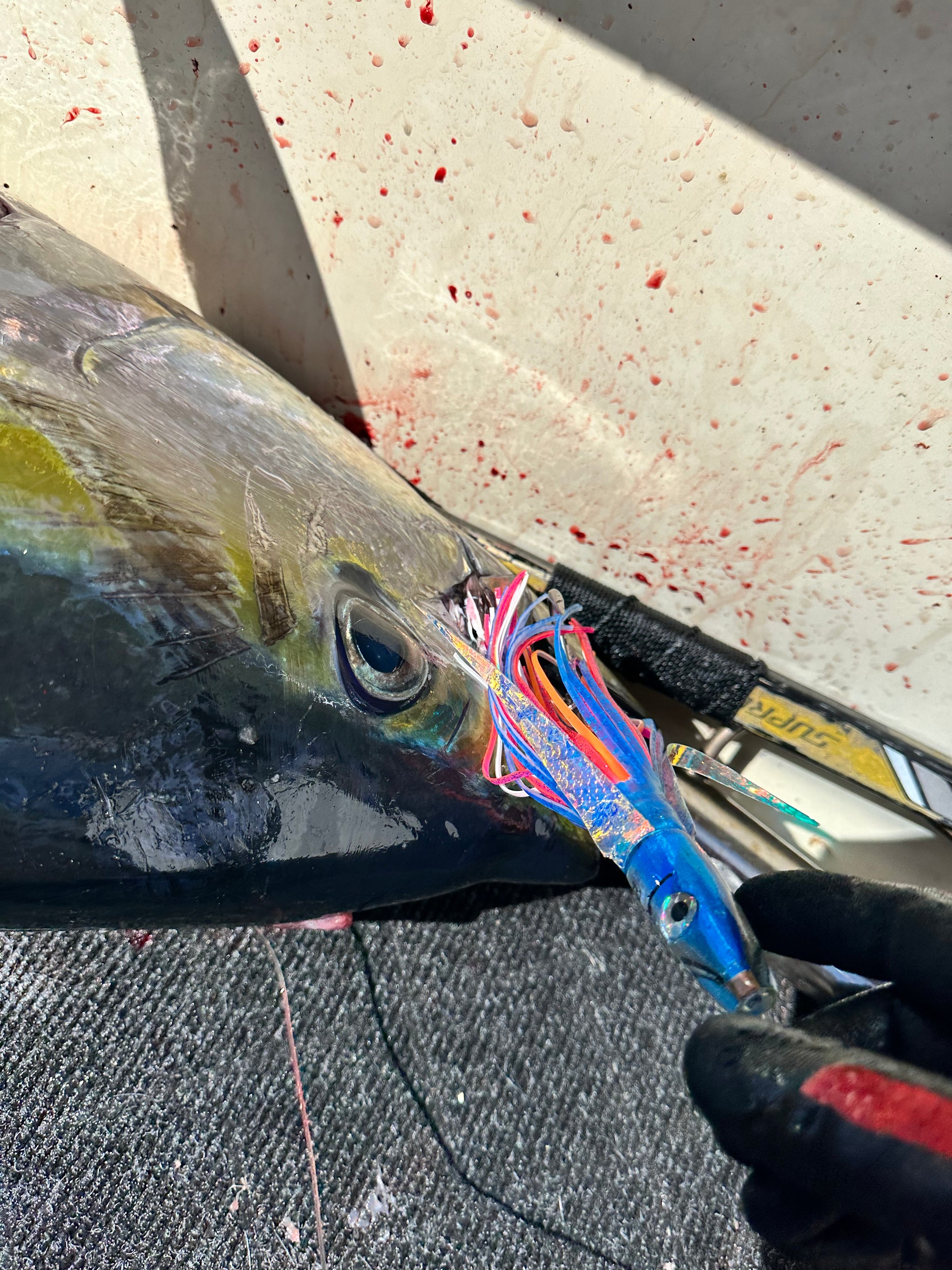 baby blue eyes fishing lures BEST SELLER! 6” Poke: Ice Blue