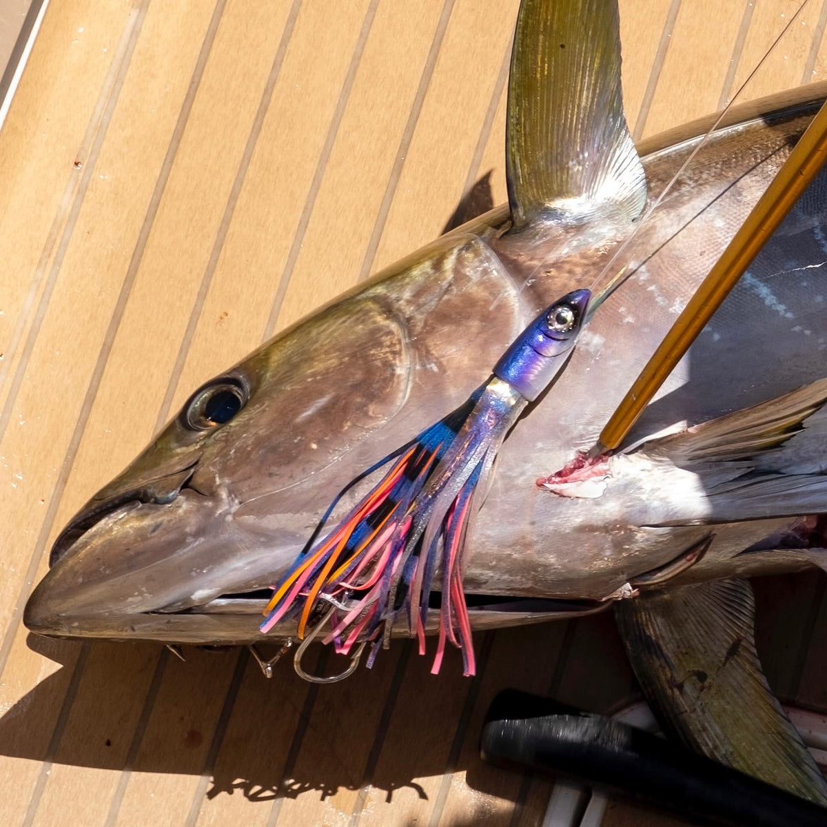 Tsutoumu Lures - Tsutomu Lures